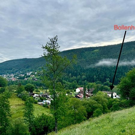 Bollenhut 1 Lägenhet Bad Wildbad Exteriör bild