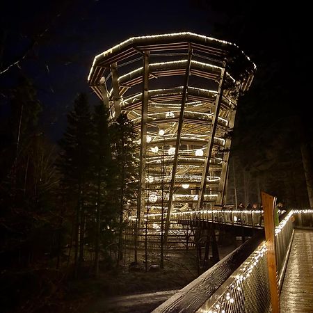 Bollenhut 1 Lägenhet Bad Wildbad Exteriör bild