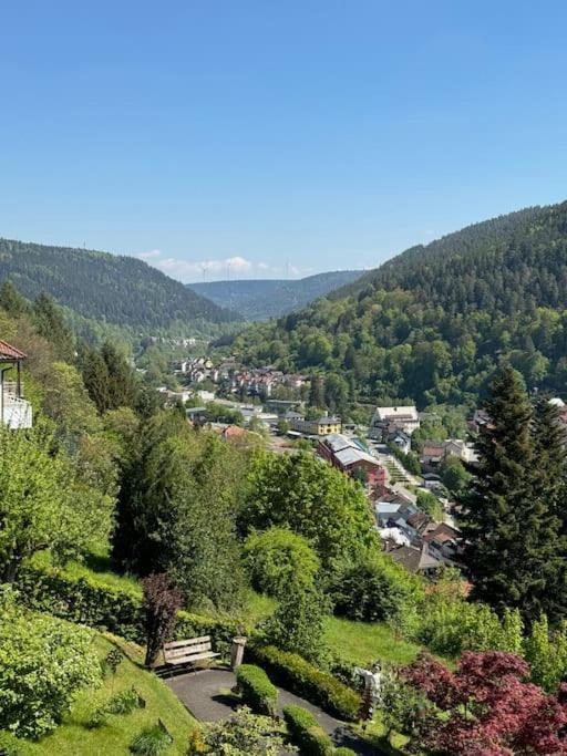 Bollenhut 1 Lägenhet Bad Wildbad Exteriör bild