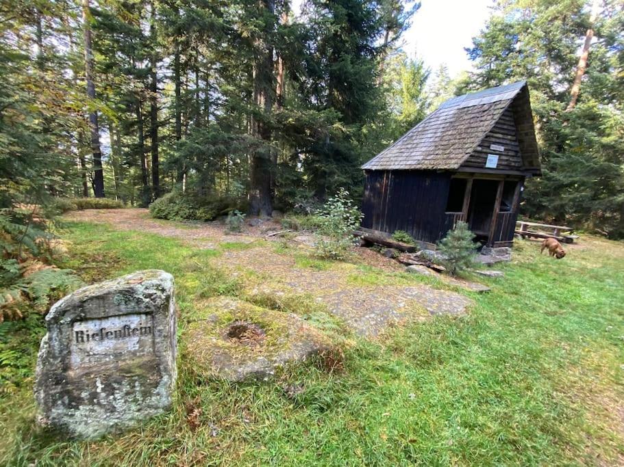 Bollenhut 1 Lägenhet Bad Wildbad Exteriör bild