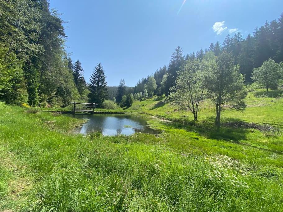 Bollenhut 1 Lägenhet Bad Wildbad Exteriör bild