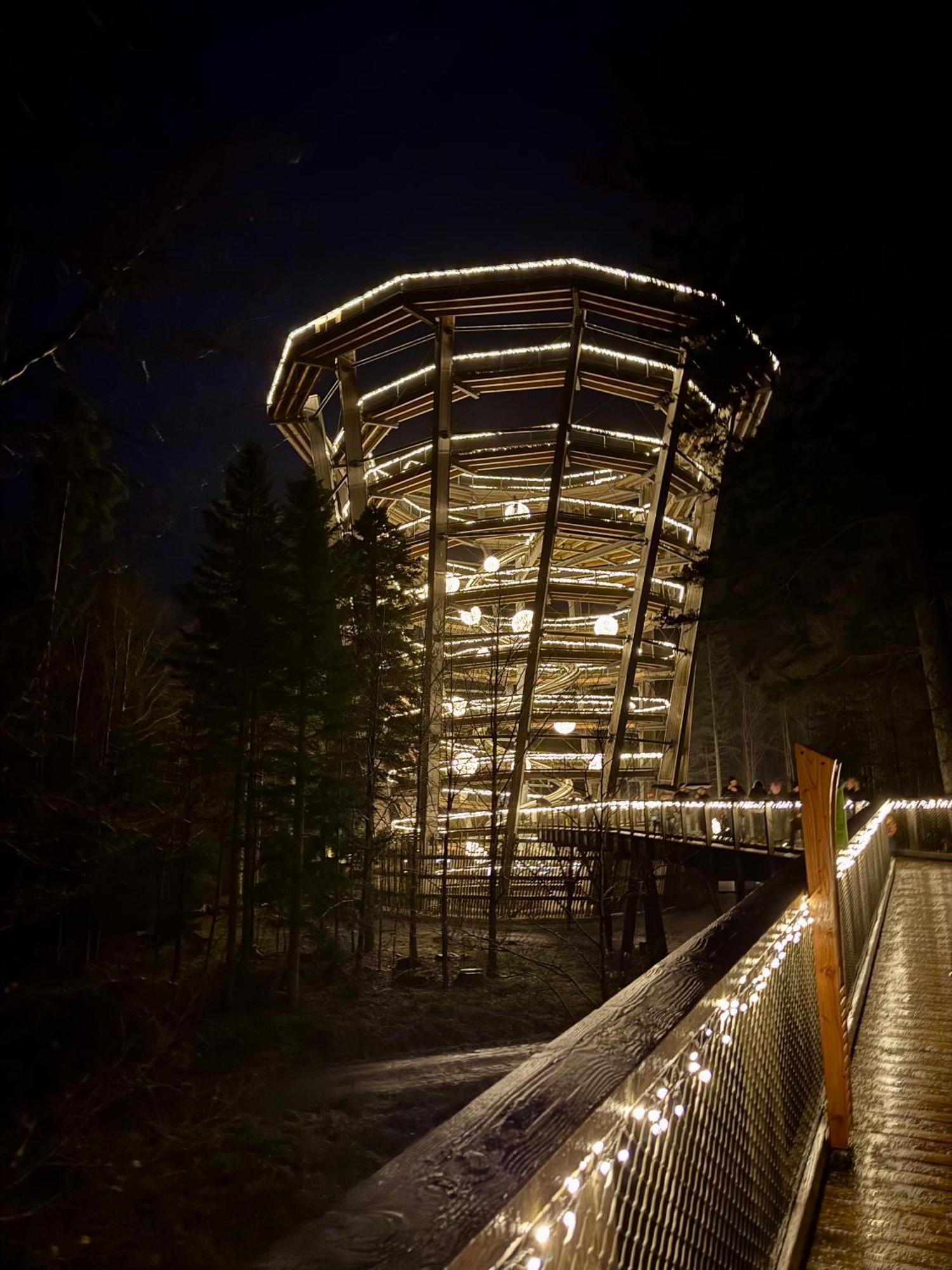 Bollenhut 1 Lägenhet Bad Wildbad Exteriör bild